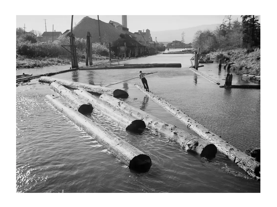 Schutmaat – islands 29