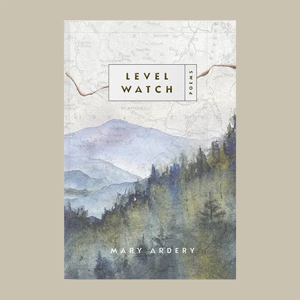 31 Level Watch
